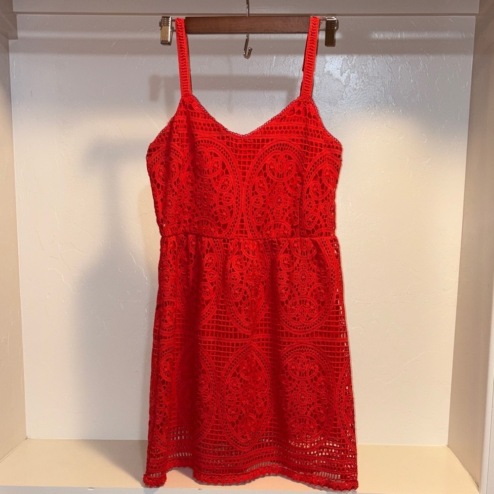Skies Are Blue Vibrant Red Lace Mini Dress